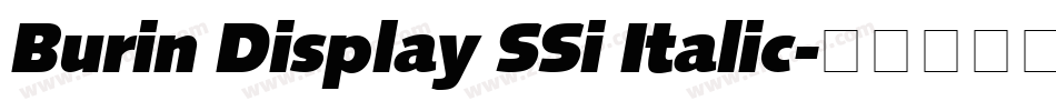 Burin Display SSi Italic字体转换